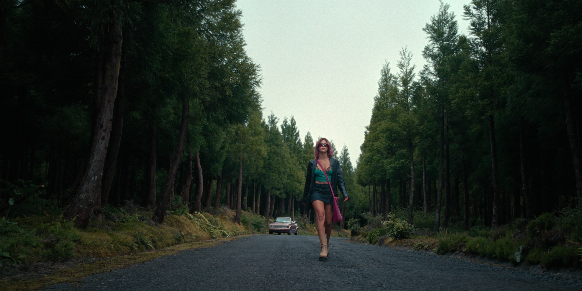 the-yellow-color-turn-of-the-tide-3-rabo-de-peixe-3-00090050