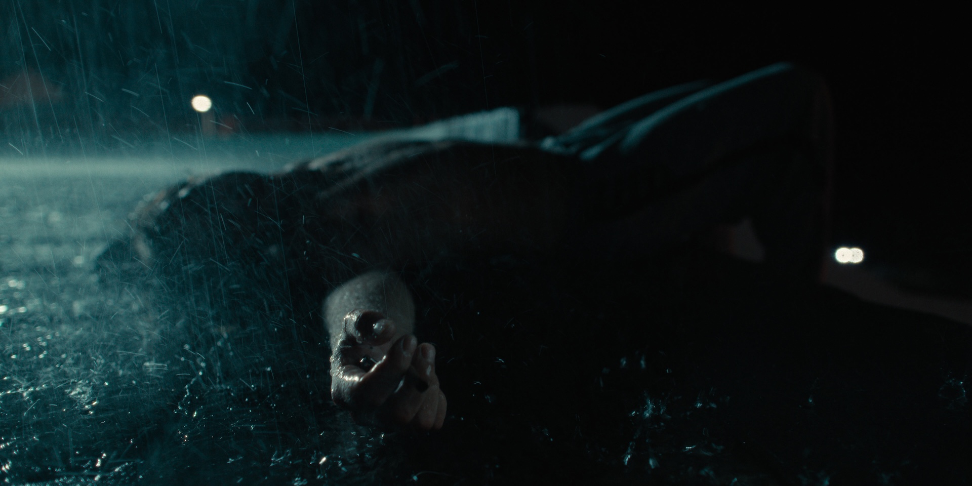 the-yellow-color-turn-of-the-tide-3-rabo-de-peixe-3-00090125