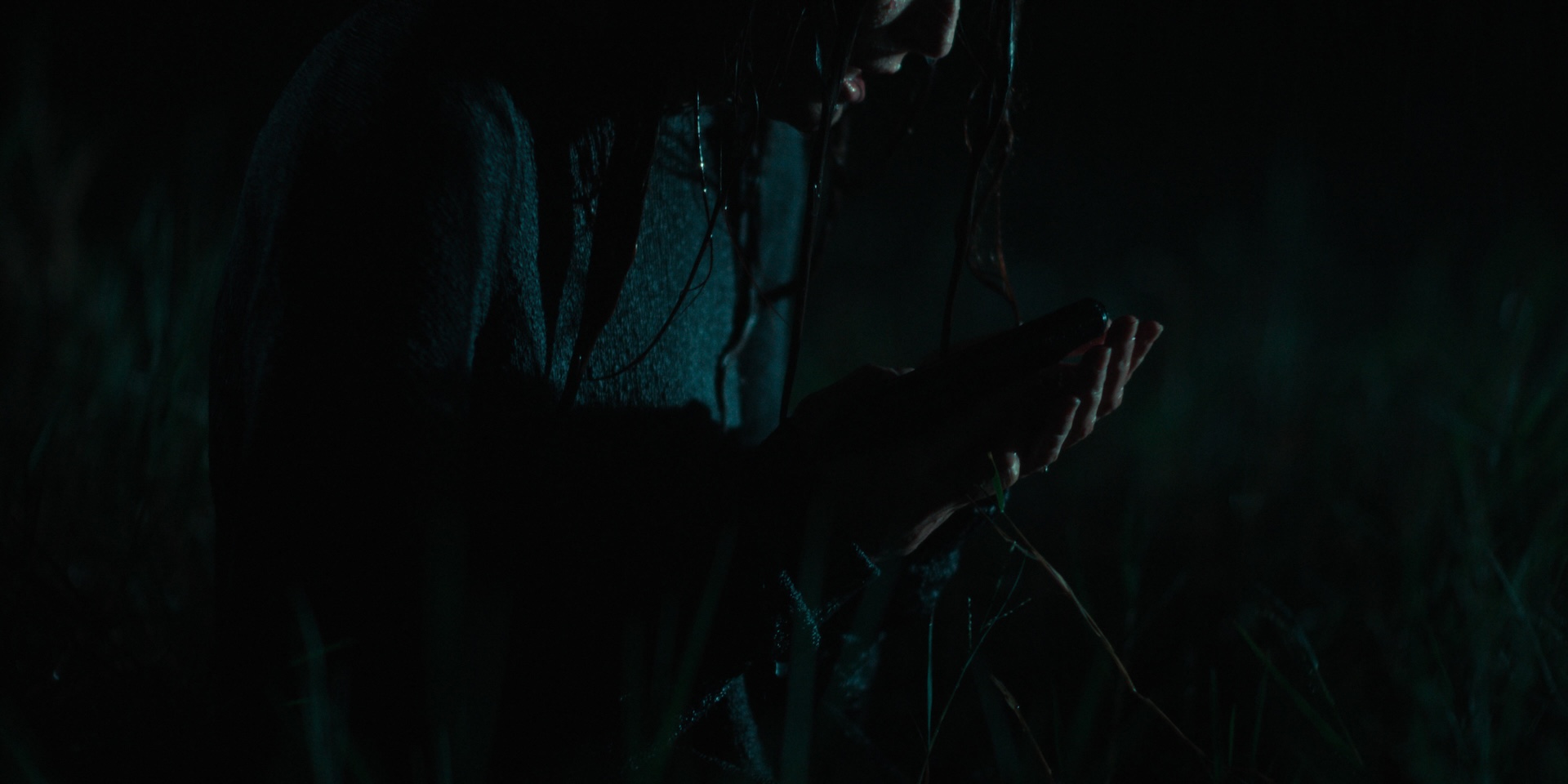 the-yellow-color-turn-of-the-tide-3-rabo-de-peixe-3-00090212