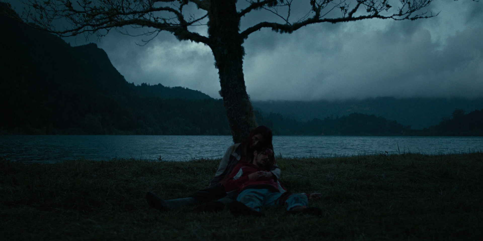 the-yellow-color-turn-of-the-tide-3-rabo-de-peixe-3-00090216