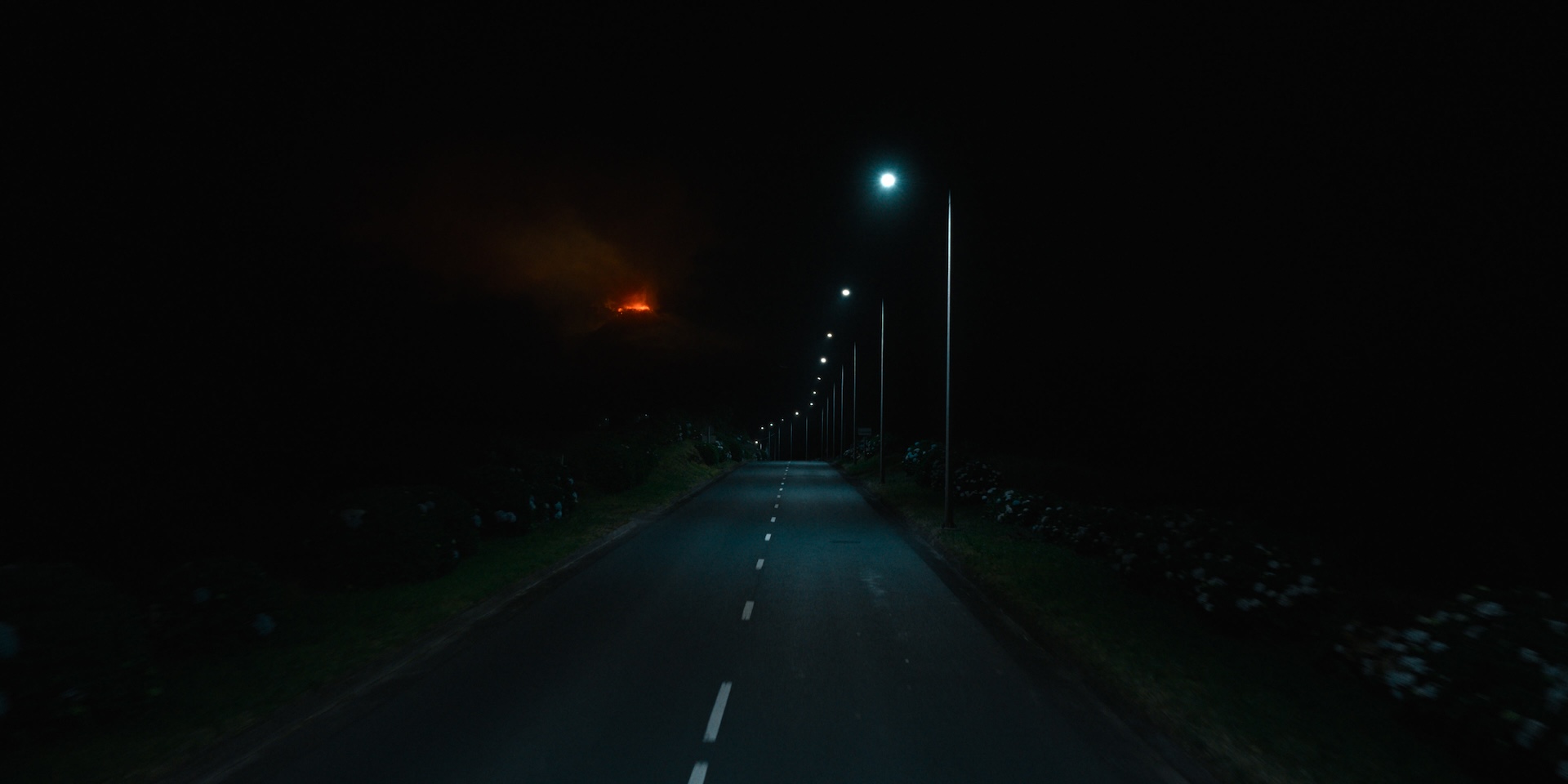 the-yellow-color-turn-of-the-tide-3-rabo-de-peixe-3-00090233