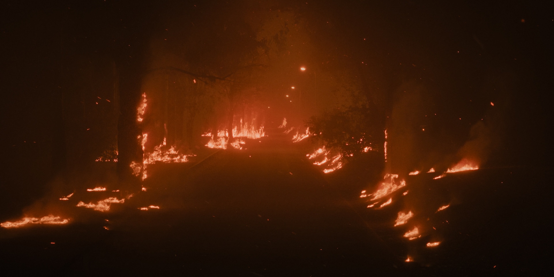 the-yellow-color-turn-of-the-tide-3-rabo-de-peixe-3-00090254