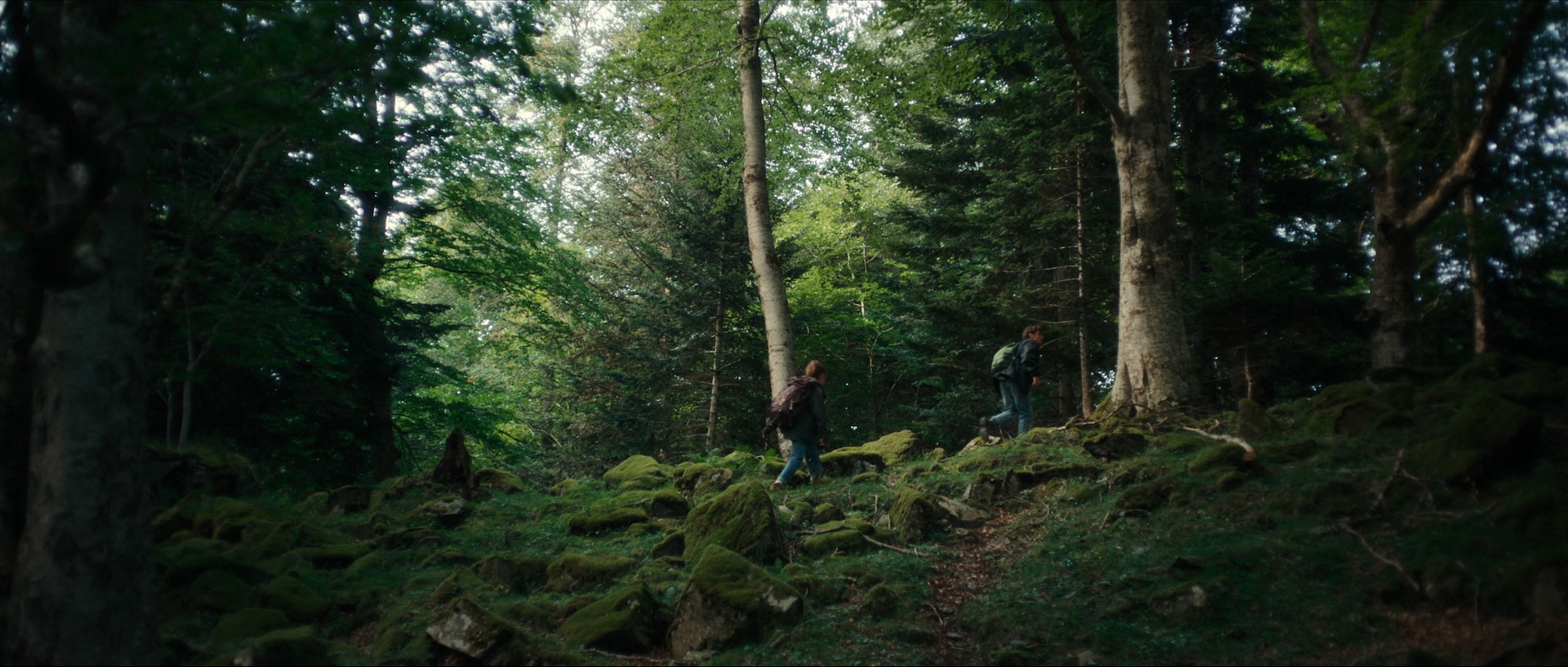 the-yellow-color-the-map-of-longing-netflix_00090115